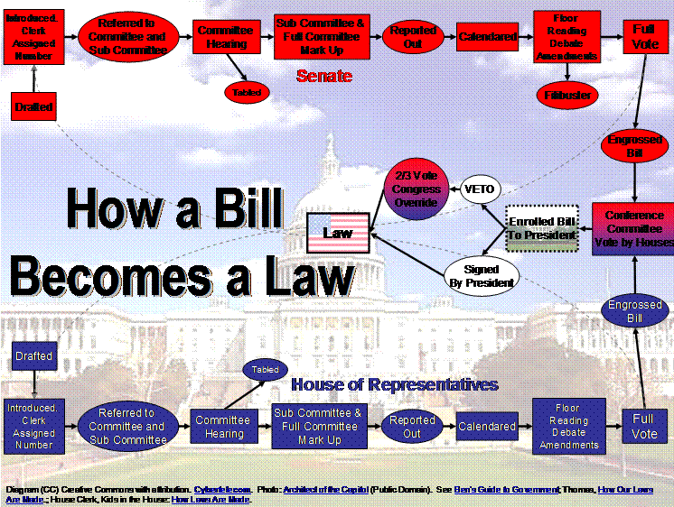 How Does a Bill Become a Law Diagram
